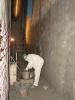 Works on the Shelter fire protection system project